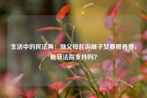 生活中的民法典：继父母起诉继子女要赡养费，能获法院支持吗？