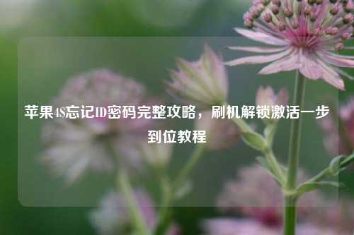 苹果4S忘记ID密码完整攻略，刷机解锁激活一步到位教程