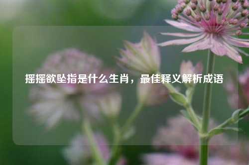 摇摇欲坠指是什么生肖，最佳释义解析成语